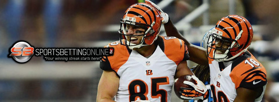 Three Super Bowl sleepers worth a wager | News Article by SportsBettingOnline.ag